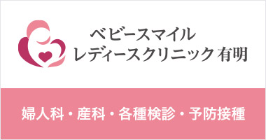 シースター株式会社 シースター株式会社